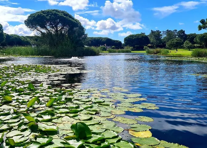 Apartman Sao Rafel House